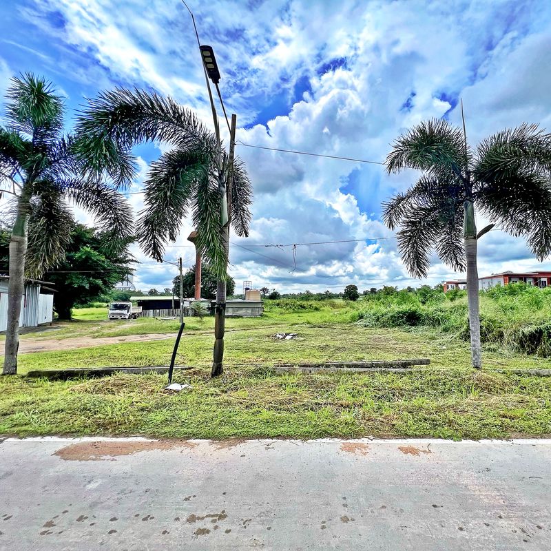 ขายที่ดินปลวกแดง ขายที่ดินมาบยางพร ขายที่ดินอมตะซิตี้